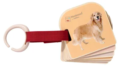 Immagine prodotto di EH Montessori Bilderbuch