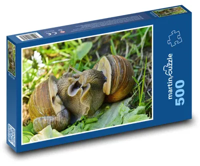 Zdjęcie produktu dla Puzzle 500 Przyjacielskie ślimaki na łące - martinpuzzle