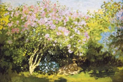 Obrázek produktu pro Claude Monet Art Print Obraz - Kvetoucí šeříky na slunci, 1873 (80 x 120 cm)