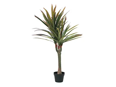 Produktbild von EUROPALMS Dracena, künstlich, 120cm (82505779)
