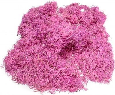 Curly Moos in Pink, 500g