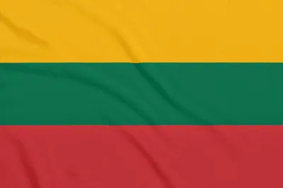 Produktbild von Flagge Litauen mit Ösen - reißfest - 90 x 150 cm