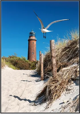 Produktbild von Wallario Wandbild Möwe am Strand mit Leuchtturm, Größe: 70,30 x 100,30 cm, Poster mit schwarzem Aluminiumrahmen
