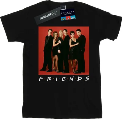 Produktbild von Friends - "Group Photo Formal" T-Shirt für Herren BI25607 (S) (Schwarz)