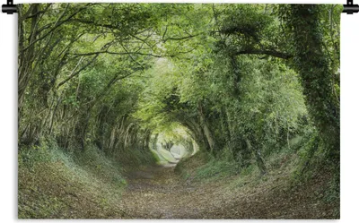 Produktbild von MuchoWow® Wandteppich Wandbehang Wald - Baum - Tunnel 120x80 cm Tapisserie Dekoration Wandtuch - Wanddekorationen - Wandtücher