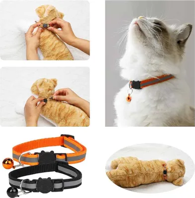 Produktbild von GPS Katzenhalsband mit reflektierendem Anti-Wurghalsband - 5 Stück Set inklusive AirTag-Halter - Personalisierbar - Geeignet für Katzen von 18-32 cm