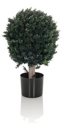 Produktbild von hjh OFFICE Kunstpflanze BUXUS Künstliche Pflanze Buchsbaum Höhe 65.0 cm Deko