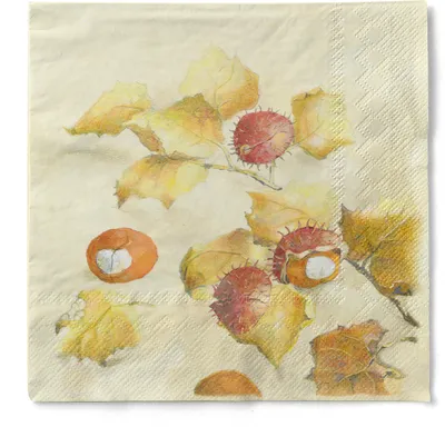 Produktbild von Tissue Serviette Kastanie, 3-lagig, 33 x 33 cm, 100 Stück - Mank
