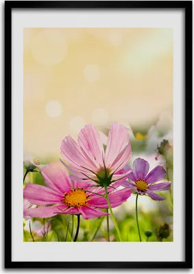 Produktbild von Bild - Bilderrahmen - 50 cm x 70 cm - MDF - Rahmen - Wandkunst Wildblumen