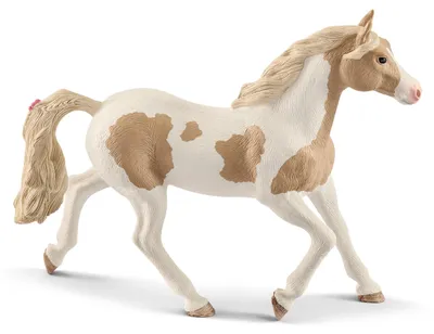 Image de Jument Paint Horse