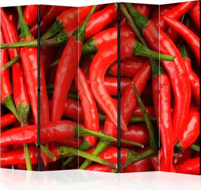 Produktbild von Akusticher Raumteiler Paprika Foto Paravent 225x172 cm beidseitig auf Vlies-Leinwand bedruckt Akustikschaum Trennwand Spanische Wand Sichtschutz Home Office Natur Gemüse Küche j-C-0065-z-c