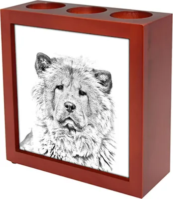 Obrázek produktu pro Art-Dog Stojánek na pera – Čau-čau