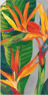 Produktbild von ARTland Wandbild, selbstklebend Paradiesvogel II Größe: 20x40 cm
