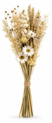 Produktbild von Blumenstrauß – Getrocknete Blumen – Natürliche Wildblumen – Natürlich – Durchmesser: 15 cm – Länge: 35 cm