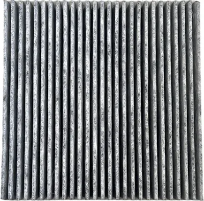 Immagine prodotto di Filtro al carbone per Globalo Fw 217 Long Life bonnet | filtro di ricambio per cappa da cucina, filtro nero a carboni attivi, bonnet da cucina