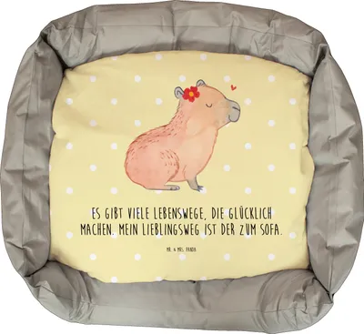 Produktbild von Mr. & Mrs. Panda Katzenbett Capybara Blume - Gelb Pastell - Geschenk, Lustige Sprüche, Katzenkissen, Katzencouch, Katzenliege, Katzenkorb, Katzensofa