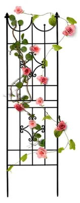 Produktbild von Gartenspaliere, 180 x 50 x 1,5 cm, Kletterhilfe für Pflanzen