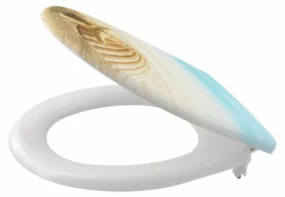 Obrázek produktu pro Alcadrain A604 SHELL WC-Sitz universal SOFTCLOSE, Duroplast