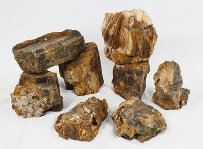 Produktbild von Aquariumdeko Yousemi Rock ca. 10 x 6 mm beige Stein