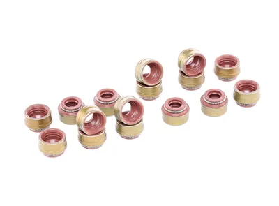 Image de Jeu de joints REINZ tige de soupape pour VW LT 28-46 II box 2DA 2DD 2DH