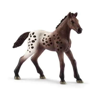 Produktbild von Schleich 13862 Appaloosa Fohlen