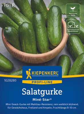 Produktbild von Kiepenkerl Salatgurkensamen Miné-Star F1 Cucumis sativus 5 Pflanzen