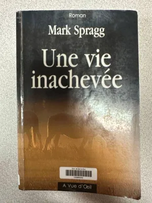 Image de Une Vie Inachevee