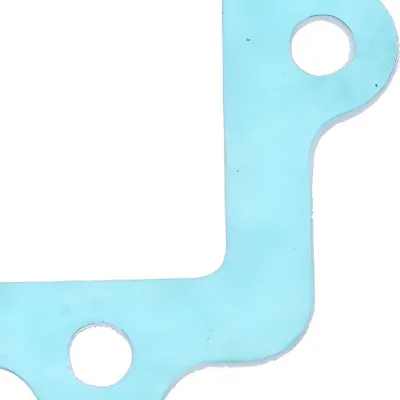 Produktbild von 101_Octane Dichtung Membranblock kompatibel mit Minarelli liegend