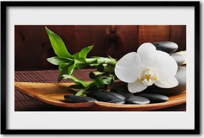 Produktbild von Bild 60x40 MDF-Rahmen Wandkunst Bambus Zen White Orchid