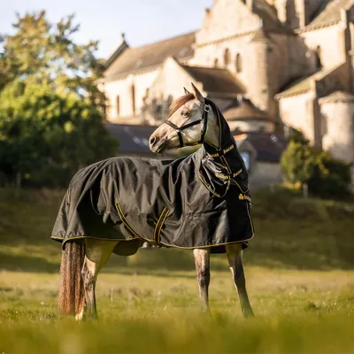 Produktbild von BUCAS Irish Turnout 50g + NECK black/gold Regendecke Outdoordecke mit Halsteil , Buc17_Gr.:155cm