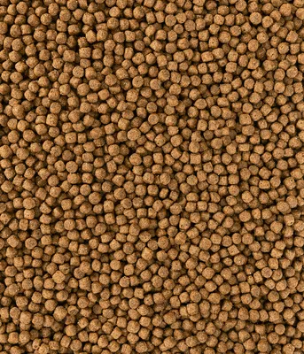Produktbild von Dehner Hundefutter Knusper-Mix Junior, Trockenfutter, für Welpen und junge Hunde, Geflügel, 12 kg