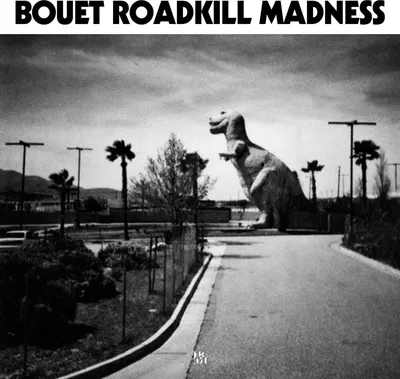 Produktbild von Christoph Bouet: Christoph Bouet: Roadkill Madness (180g) (Limited Numbered Deluxe Edition) - - (LP / R)