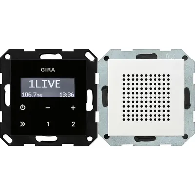 Immagine prodotto di Radio da incasso Gira RDS 228027