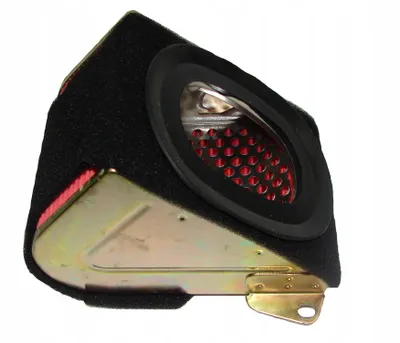Immagine prodotto di Filtro dell'aria di ricambio per scooter GY6 125/150, prodotto nuovo di Power Force