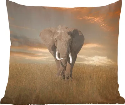 Produktbild von MuchoWow® Zierkissen Sofakissen Wohnzimmer Dekokissen 45x45 cm Elefant - Tiere - Gras - Natur - Schlafpolster - Polster für das Sofa