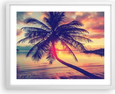 Produktbild von Gerahmtes Poster - Weißer Rahmen - Meer Strand Palme - 50x40 cm - Wand Bild - Wanddeko - Wandbilder - Kunstposter - Wandposter - Bilderrahmen - Bilder - Kunstdruck - Wandbild - P2WAA50x40-3925