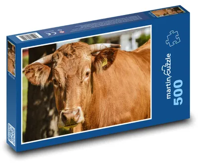 Produktbild von Puzzle 500 Friedliche Kuh auf dem Bauernhof - martinpuzzle