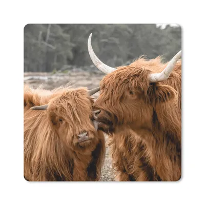 Produktbild von MuchoWow® Mauspad Mousepad Schottischer Highlander - Kuh - Tiere 30x30 cm - Mousepads - Maus Mat - Pad - Mausunterlage - Gaming