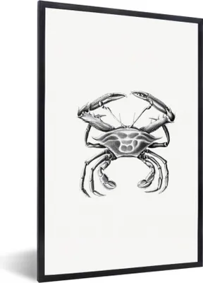 Produktbild von MuchoWow® Gerahmtes Poster Ernst Haeckel - Jahrgang - Kunst - Krabbe 60x90 cm - Poster mit Schwarzem Bilderrahmen Wandposter Rahmen Foto Bilder - Kunst