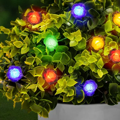 Image de Guirlande lumineuse solaire LED, couleurs vives, 2 mètres