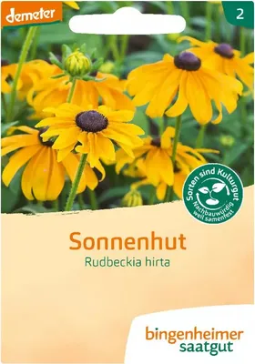 Image de Héliotrope - Rudbeckia Hirta