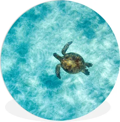 Produktbild von MuchoWow® Rundes Wandbild - Runde Bilder Schildkröte im Meer Ø 60 cm Kreis Wanddekoration Kunststoff - Wandkreis - Wandschmuck - Wand Kreis - Das Schlafzimmer - Die Bilder - Wandmalerei - Kunst für das Haus - das Plastik