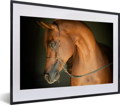 Produktbild von MuchoWow® MuchoWow® Gerahmtes Poster Pferd - Braun - Zaumzeug 40x30 cm - Poster mit zchwarzem Bilderrahmen - Bilderrahmen - Poster im Rahmen