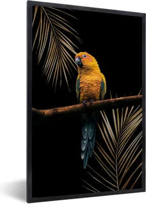 Produktbild von MuchoWow® MuchoWow® Gerahmtes Poster Bunt - Papagei - Orange 40x60 cm - Poster mit zchwarzem Bilderrahmen - Papierdruck - Wandbilder