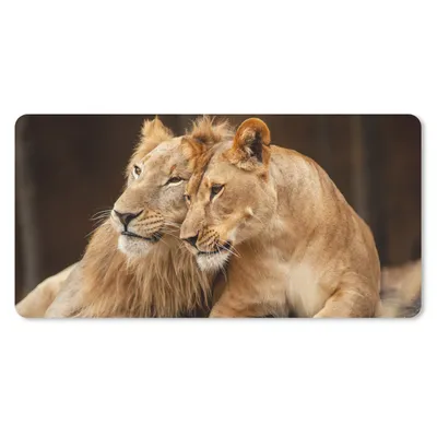 Produktbild von MuchoWow® Mauspad Mousepad Löwen - Braun - Tiere 60x30 cm - Mousepads - Maus Mat - Pad - Mausunterlage - Nachhaltig