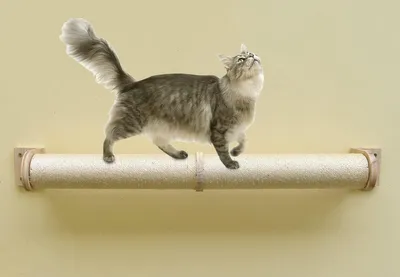 Produktbild von Wandgemonteerte Katzenkratzbaum und Katzenregale - Kratzbäume für Wohnungskatzen