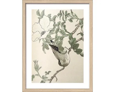 Produktbild von Gerahmtes Bild Birds I 33x43 cm