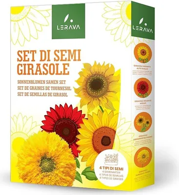 Image de LERAVA® Kit de graines de tournesol - (4 VARIÉTÉS) - Tournesol géant jaune haut, rouge géant, forme naine, Sungold Teddy - Parfait pour les jardins