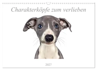 Produktbild von Charakterköpfe zum verlieben (Wandkalender 2027 DIN A3 quer), CALVENDO Monatskalender