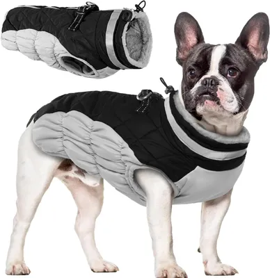 Productafbeelding van Waterdichte Hondenjas voor Kleine Honden - Warm, Reflecterend en met Harnas